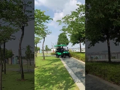 Carro de golf eléctrico