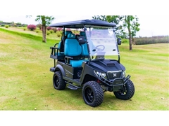 48V / 72V ESP Street Legal Golf Cart con motor y controlador NAVITAS