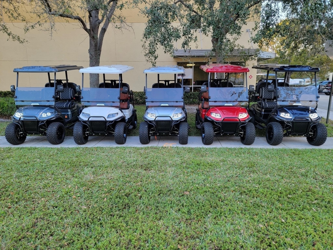 Parte alta SUPERIOR del coche del golf del color adaptable eléctrico EV2+2 mejorable